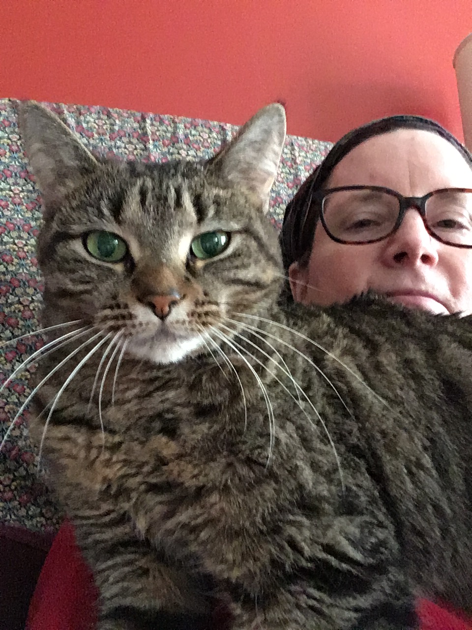 Our shy little Talia was found as a singe stray kitten on the property of a garden center.